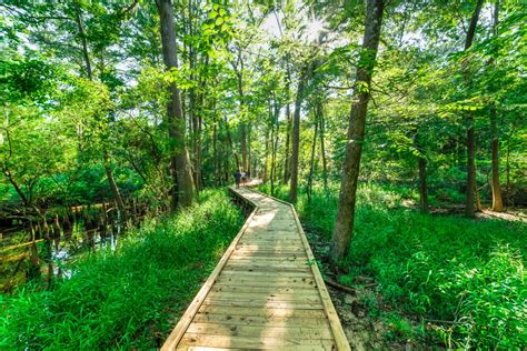 Walking Trails .